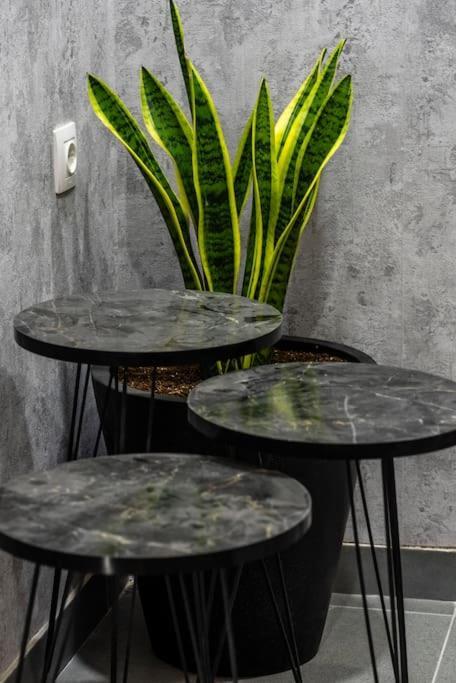 Appartement Coloris Aureus Thessaloniki